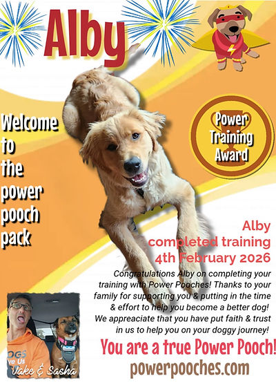 Alby certificate