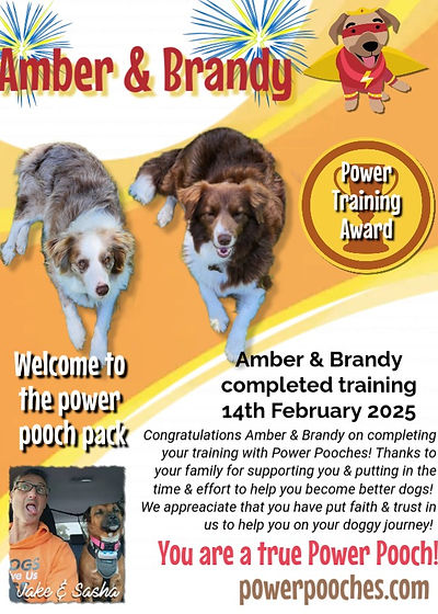 Amber & Brandy certificate