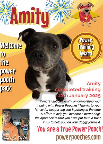 Amity certificate