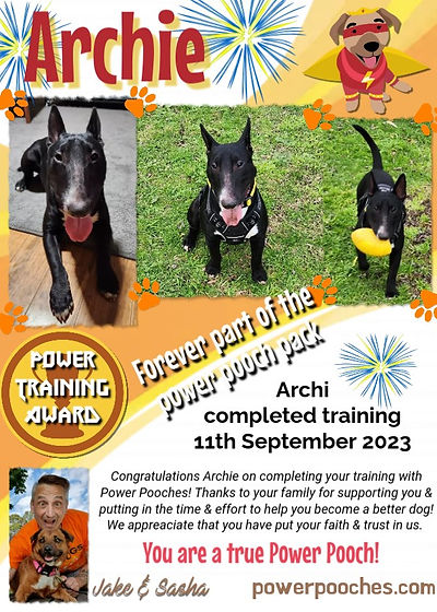 Archie certificate