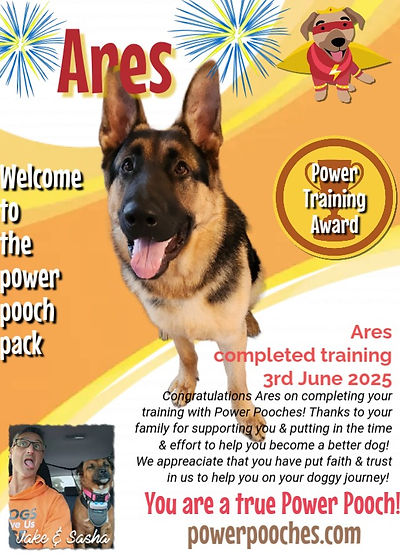 Ares certificate