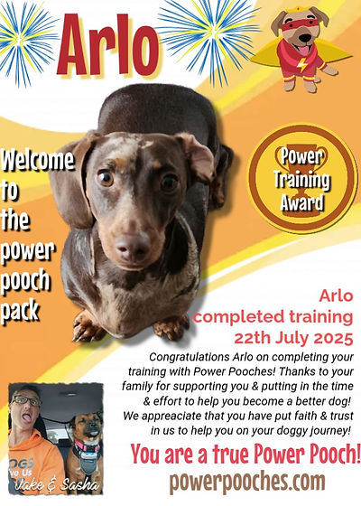 Arlo certificate