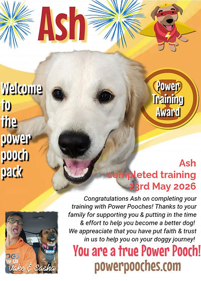 Ash certificate