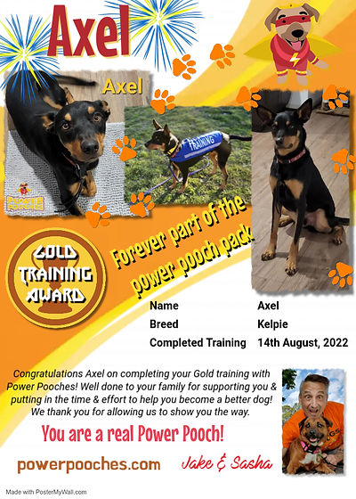 Axel certificate