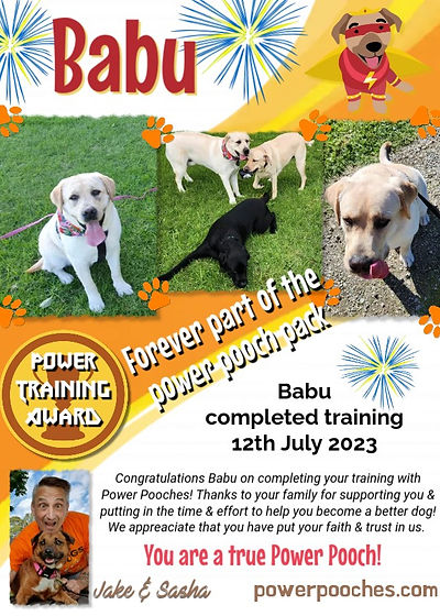 Babu certificate