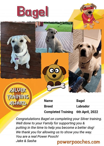 Bagel certificate