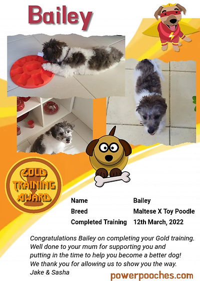 Bailey certificate