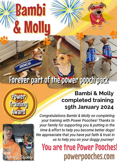Bambi & Molly certificate
