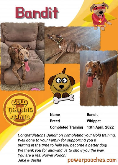 Bandit certificate
