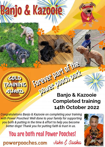 Banjo & Kazooie certificate