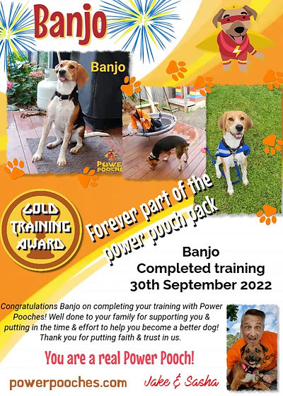 Banjo certificate