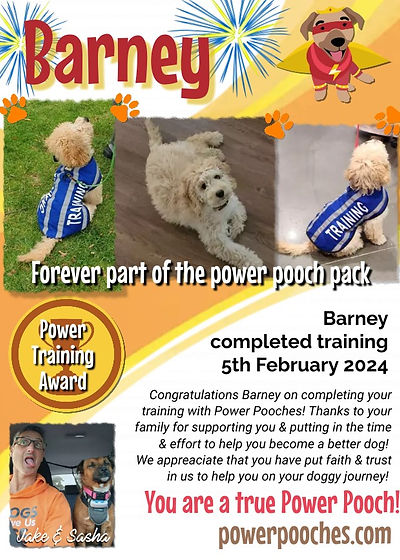 Barney certificate