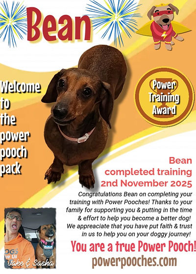 Bean certificate