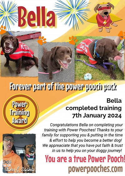 Bella certificate