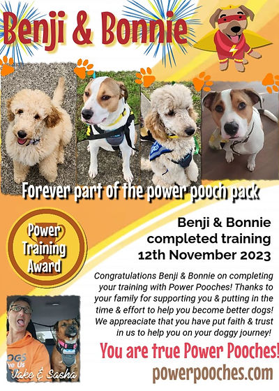 Benji & Bonnie certificate
