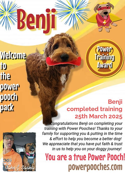 Benji certificate
